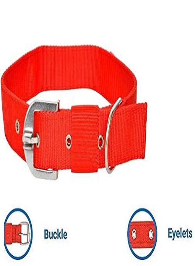 Pups&Pets طقم حبل وطوق للكلاب من Pups&Pets - طوق 1 بوصة، سمك المقود 12 مم - متوسط (أحمر، حجم المقود 1.5 متر). - Image 2